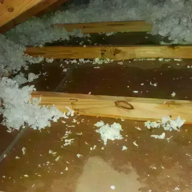 Attic Water Damage in Lee County, AL