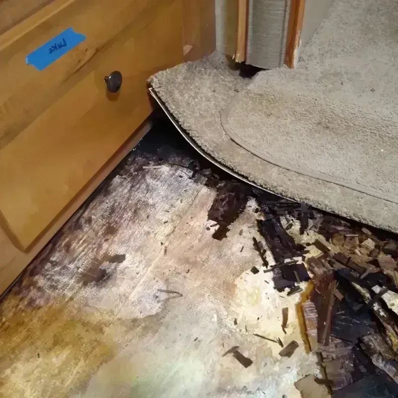 Wood Floor Water Damage in Lee County, AL